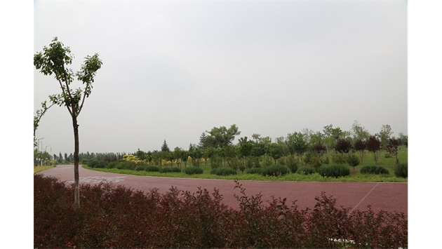 標題：大青山南坡生態(tài)修復
瀏覽次數：2097
發(fā)表時(shí)間：2020-10-16
