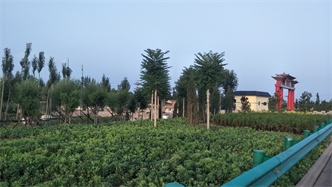 標題：張家口經(jīng)開(kāi)區腰站堡飲用水源地生態(tài)涵養綠化
瀏覽次數：2380
發(fā)表時(shí)間：2020-10-16