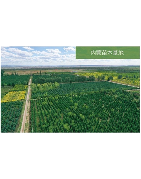 標題：苗木基地
瀏覽次數：1942
發(fā)表時(shí)間：2020-10-17