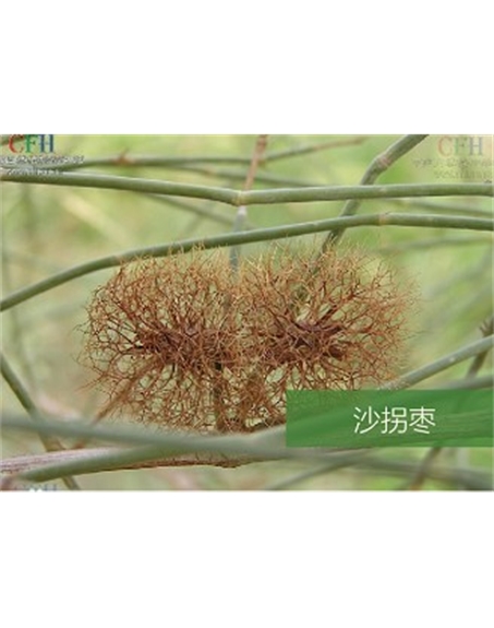 標題：名貴樹(shù)種
瀏覽次數：1413
發(fā)表時(shí)間：2020-10-17