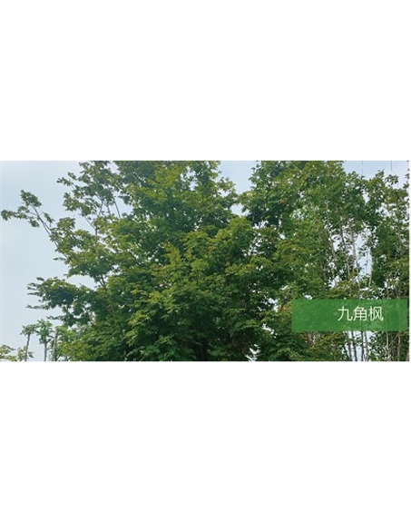 標題：?jiǎn)坦嗄?瀏覽次數：1451
發(fā)表時(shí)間：2020-10-17