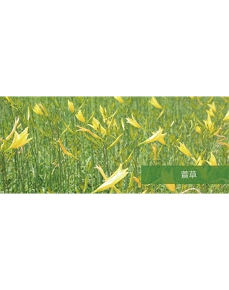 標題：地被
瀏覽次數：1449
發(fā)表時(shí)間：2020-10-17