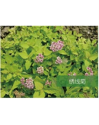 標題：?jiǎn)坦嗄?瀏覽次數：1475
發(fā)表時(shí)間：2020-10-17