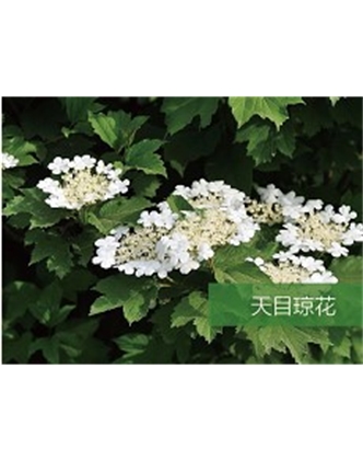 標題：?jiǎn)坦嗄?瀏覽次數：1499
發(fā)表時(shí)間：2020-10-17
