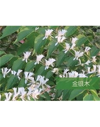 標題：?jiǎn)坦嗄?瀏覽次數：1442
發(fā)表時(shí)間：2020-10-17