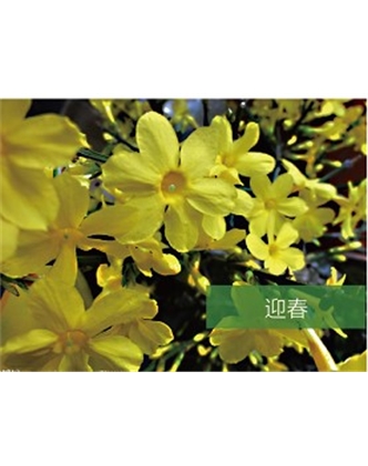 標題：?jiǎn)坦嗄?瀏覽次數：1361
發(fā)表時(shí)間：2020-10-17