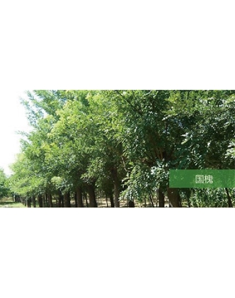 標題：?jiǎn)坦嗄?瀏覽次數：1519
發(fā)表時(shí)間：2020-10-17
