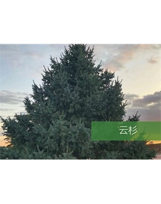 標題：?jiǎn)坦嗄?瀏覽次數：2050
發(fā)表時(shí)間：2020-10-17