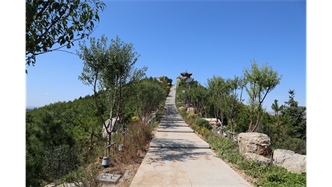 標題：張家口太子山山體修復
瀏覽次數：18190
發(fā)表時(shí)間：2020-11-12