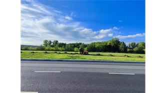 標題：伊利現代智慧健康谷道路綠化建設項目
瀏覽次數：1335
發(fā)表時(shí)間：2023-11-07